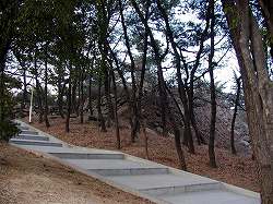 20080226-29 Busan (19).jpg